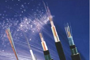 4G将为光纤光缆中小企业全球化发展提保障