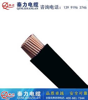 预分支电缆 秦力电缆 国标预分支电缆