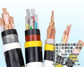 变频电力电缆销售 天康仪表线缆 已认证 变频电力电缆
