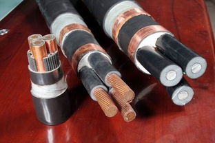 生产销售屏蔽电线rvvp3x0.75 新闻中心 产品目录