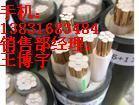 船用网络双电线电缆_船用网络双电线电缆供货商_供应船用网络双屏蔽电线电缆/厂家销售_船用网络双电线电缆价格_江苏红旗电缆制造